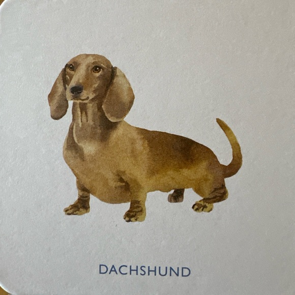 Laurence King Dog Coasters. Set of 16. New in Box - Picture 10 of 12